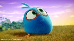 انیمیشن پرندگان خشمگین آبی قسمت 4 - angry birds blue